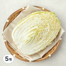 국내산 배추 1/2통, 800g, 1개입, 5개