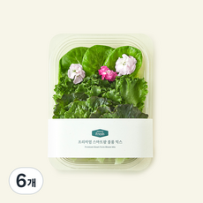 프리미엄 스마트팜 블룸 믹스, 100g, 1개입, 6개