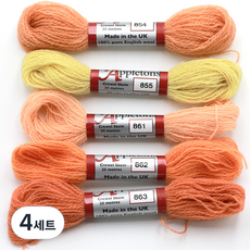JoyJasu Appleton 羊毛繡線 5件組, 4套, 854, 855, 861, 862, 863