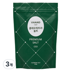 브이핸드 클레오파트라 솔트 C53, 3개, 500g
