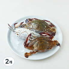 산지직송 일품 서해안 암꽃게 (냉장), 2개, 600g(2~3미)