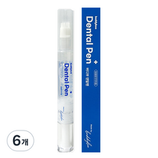 버디부 덴탈펜 구강청결제, 6g, 6개