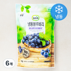 뉴뜨레 냉동 블루베리 (냉동), 1kg, 6개