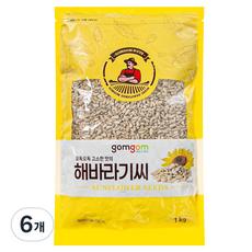 곰곰 해바라기씨, 1kg, 6개
