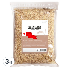 호라산밀 카무트, 1kg, 3개