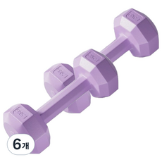 코레시스 예쁜 파스텔톤 홈트용 아령 퍼플, 6개, 1.5kg
