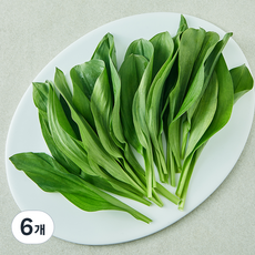 강원 명이, 6개, 180g