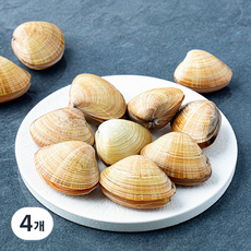 명주조개 (냉장), 4개, 600g