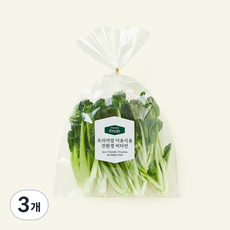 프리미엄 이유식용 친환경 비타민, 50g, 3개