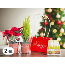 프레시가든 포인세티아 + 율마 + 모든식물 영양제 10개입 + 크리스마스 쇼핑백 세트, 혼합색상, 2세트