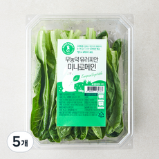 그린래빗 무농약 인증 유러피안 미니로메인 샐러드, 100g, 5개