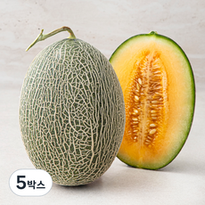 아주마 산지직송 고령 그린 하미과 메론, 1.1kg, 5박스