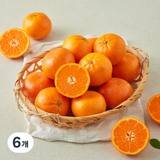 미국산 더네이처 만다린, 6개, 1kg