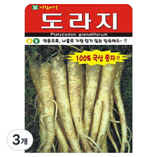아람종묘 도라지 씨앗 2000p, 3개