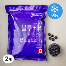 웰프레쉬 캐나다산 블루베리 (냉동), 1.3kg, 2개