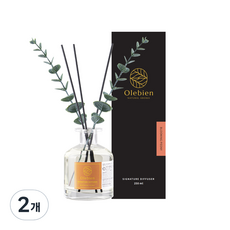 올레비엔 프리미엄 퍼퓸 디퓨저 실내용, 블루밍 피오니, 250ml, 2개