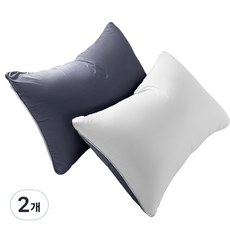 달잠 빨아쓰는 알러지케어 마이크로화이바 베개솜 2p, 차콜 + 그레이, 2개