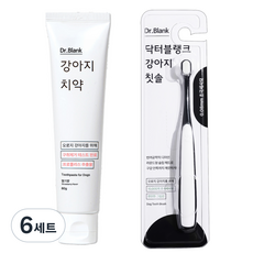 닥터블랭크 강아지 구강관리 치약 딸기맛 + 초미세모 칫솔 세트, 80g, 6세트