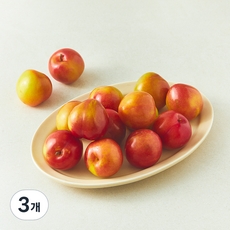 새콤 달콤한 자두 특대과, 3개, 800g