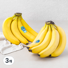 치키타 코스타리카산 바나나, 3개, 2.5kg