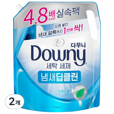 다우니 냄새 딥클린 프레시 클린 세탁세제 리필, 2.2L, 1개입, 2개