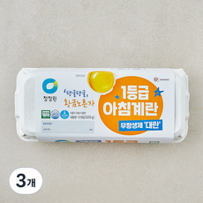 청정원 무항생제 인증 1등급 아침대란 520g, 3개, 10구