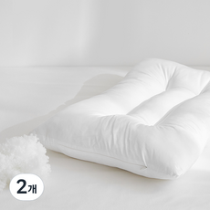 아르페지오베이직 리버블 볼솜 베개솜, 화이트, 2개