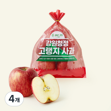 올바른과일 강원 고랭지 사과 중과 5~6개입, 4개, 1.3kg