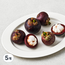 수플린 태국산 망고스틴, 480g(4~7입), 5개