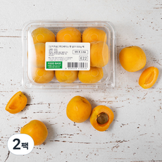 산지직송 푸드베이스 햇 살구, 500g, 2팩