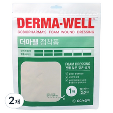 GC녹십자 더마웰 점착폼 진물 많은 깊은 상처, 2개