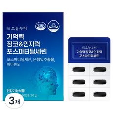 오늘부터 기억력 징코&인지력 포스파티딜세린, 30정, 3개