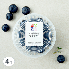 국내산 과일진심 왕 블루베리, 4개, 100g