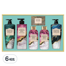 LG생활건강 정성담은 샴푸&바디 세트 A3 + 쇼핑백, 6세트
