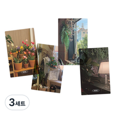리코즈 반투명 포토카드 북마크 4종 세트, 플랜트, 3세트