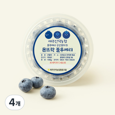 제주안덕농협 몬뜨락 왕블루베리, 4개, 100g
