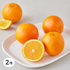 곰곰 미국산 세콰이어 오렌지, 2개, 950g