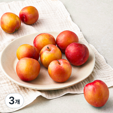 굿데이 당도선별 대석 자두, 1kg(대과), 3개