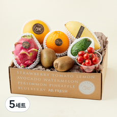 올프레쉬 과일소믈리에 프리미엄 제철과일 혼합선물 1호 1.89kg, 5세트