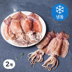 원양산 반건조 오징어 (냉동), 550g(5미), 2개