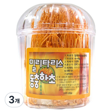 동광한방몰 밀리타리스 동충하초 국내산, 40g, 3개
