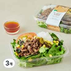프레밀 불고기 분짜 샐러드, 260g, 3개