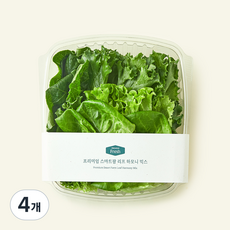 프리미엄 스마트팜 리프 하모니 믹스, 250g, 1개입, 4개