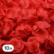 Yeoni Factory 派對用玫瑰花瓣 500p, 10個, 紅色
