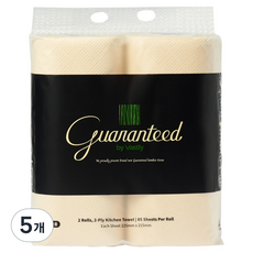 GuaranteedByVastly 2層壓花竹纖維廚房紙巾 85張, 2入, 5個
