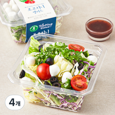그린래빗 보코치니 샐러드, 190g, 4개