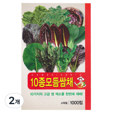 10종 모듬 쌈채소 씨앗, 2개