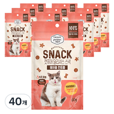 캣퓨어 고양이 딜리셔스 스낵, 40개, 60g, 헤어볼 컨트롤