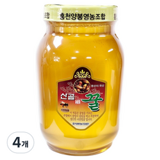 동광한방몰 홍천 사양벌꿀, 4개, 1.2kg