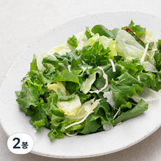 친환경 인증 팜에이트 시즈널 샐러드, 2봉, 550g
